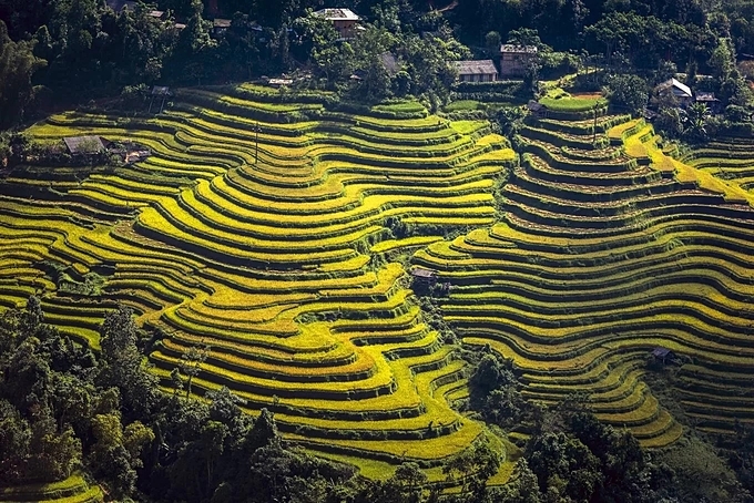 the-season-of-northern-vietnam-rice-terraces-1
