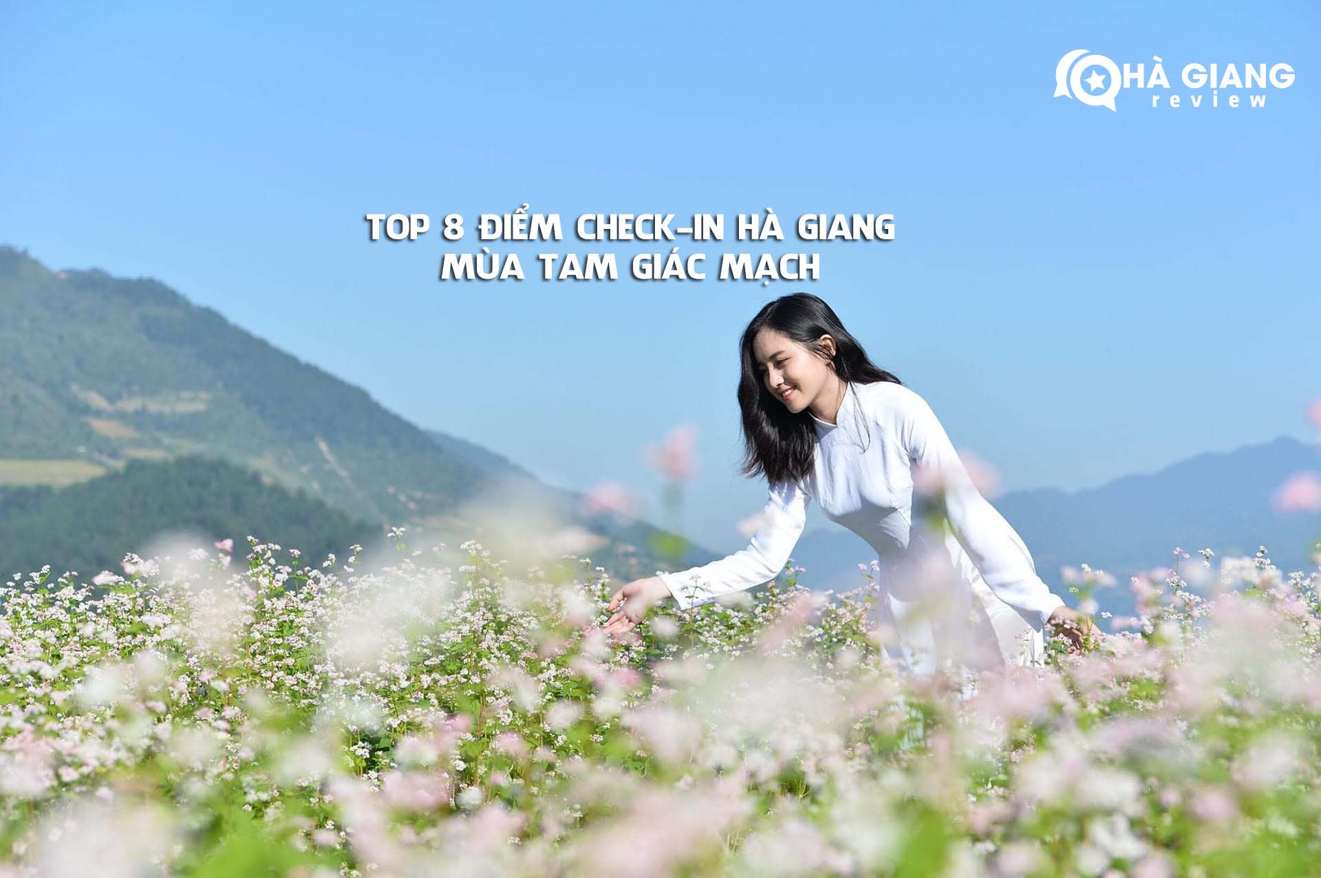 Top 8 địa điểm check-in du lịch Hà Giang mùa hoa tam giác mạch
